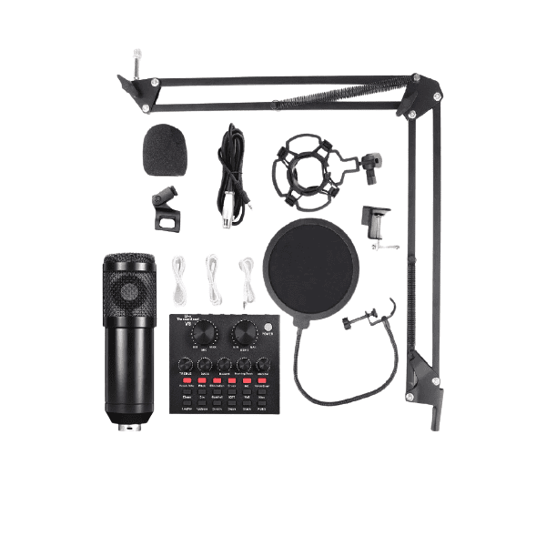 Professional Unidirectional Microphone