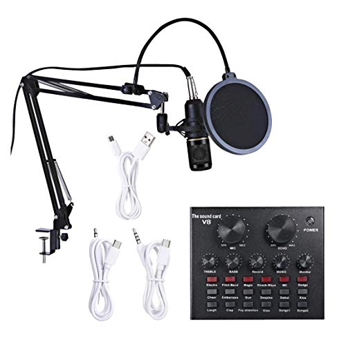 Professional Unidirectional Microphone