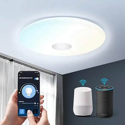 Smart Ceiling Light