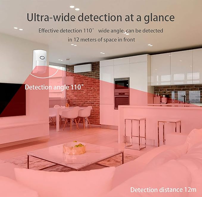 PIR Motion Detector Alarm