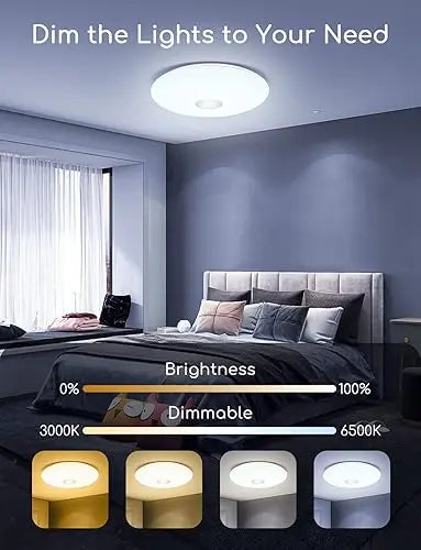Smart Ceiling Light
