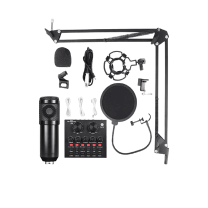 Professional Unidirectional Microphone