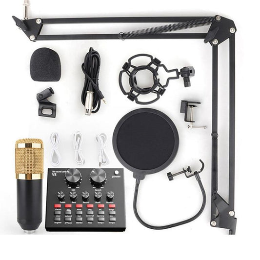 Professional Unidirectional Microphone