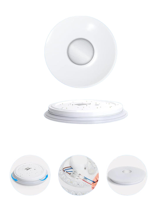Smart Ceiling Light