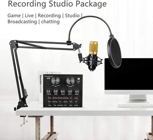 Professional Unidirectional Microphone